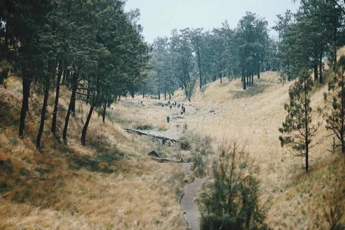 Gunung Lawu