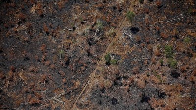 Penampakan dari Udara Sisa Kebakaran Hutan di Kalimantan