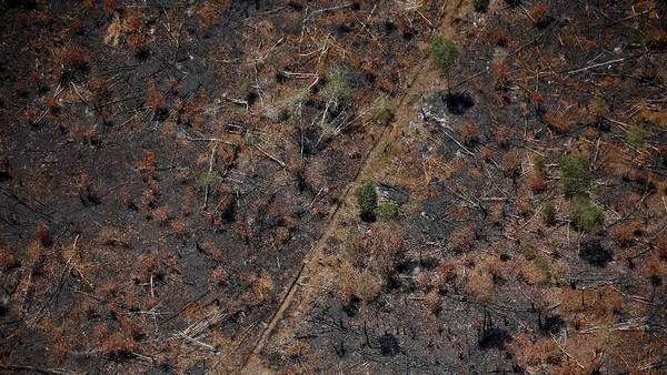 Penampakan dari Udara Sisa Kebakaran Hutan di Kalimantan