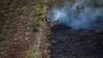 Penampakan dari Udara Sisa Kebakaran Hutan di Kalimantan