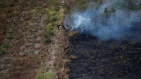 Seorang warga sedang berupaya memadamkan api di salah satu lahan dengan menggunakan jeriken air.