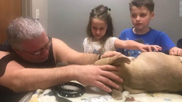Gary Richardson bersama dua anaknya yang lain, Aurora (6) dan Owen (8), saat menyampaikan perpisahan dengan Zeus yang mati usai melindungi dua anak laki-laki Richardon, Orion (11) dan Oriley (10)