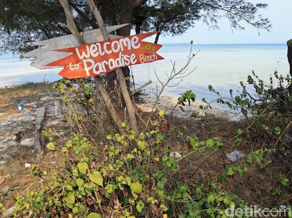Tidung Kecil Diincar Jadi Destinasi Wisata Kucing