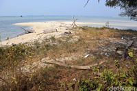 Banyak sampah di pantai ini (Randy/detikcom)
