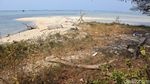 Tidung Kecil Diincar Jadi Destinasi Wisata Kucing