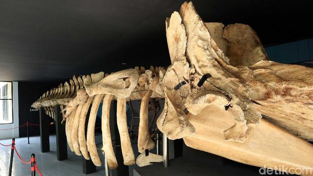 Mau Hari Museum, Yuk Main ke Museum Instagramable di Jakarta