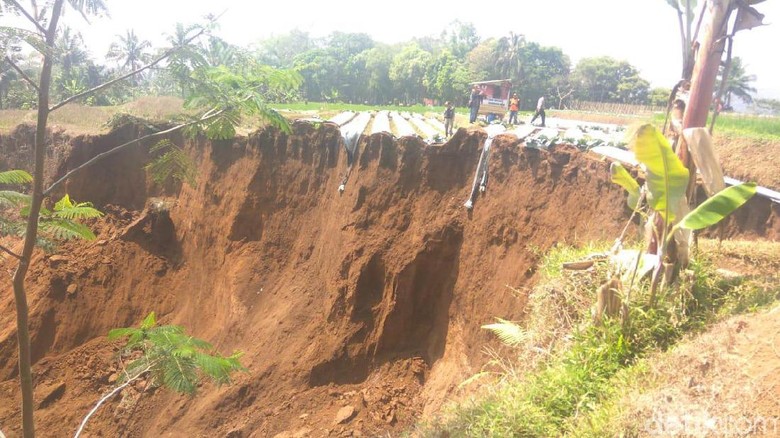 1 Hektare Lahan Pertanian di Tasikmalaya Longsor Saat Kemarau 1 Hektare Lahan Pertanian di Tasikmalaya Longsor Saat Kemarau