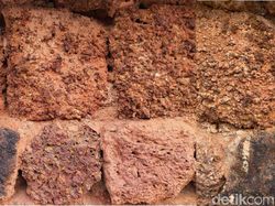 Blind Test iPhone 11 Pro dan Galaxy Note 10+, Suka Mana?