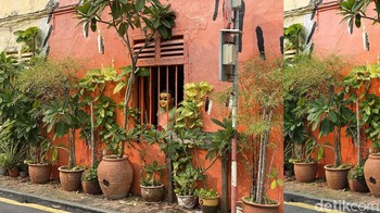 Ketika foto zoom 2x, pilih mana? Foto: Adi Fida Rahman/detikINET