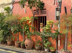 Blind Test iPhone 11 Pro dan Galaxy Note 10+, Suka Mana?