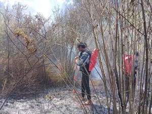 Sedih, Sudah Dua Minggu Gunung Semeru Berasap