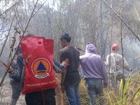 Sudah Dua Minggu, Gunung Semeru Masih Berasap