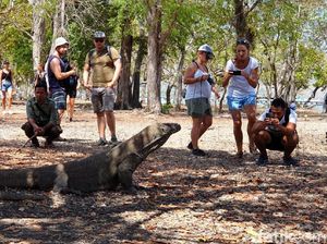 Menteri LHK Surati Gubernur NTT: Tarif Rp 3,7 Juta ke TN Komodo Melanggar