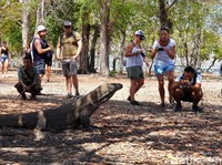 Pulau Komodo Bakal Disulap Jadi Jurrasic Park