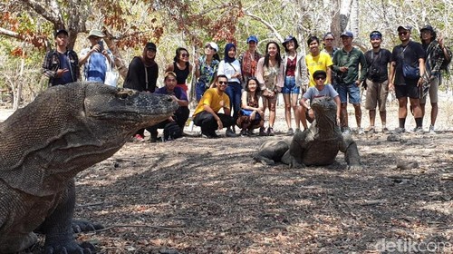 Agus di Labuan Bajo, Agus di Taman Komodo