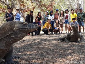 Isu Tiket Masuk Komodo Rp 14 Juta, Warga Lokal Tenangkan Turis