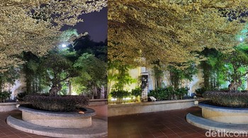 Masih menggunakan mode malam, lebih suka mana? Foto: Adi Fida Rahman/detikINET