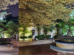 Blind Test iPhone 11 Pro dan Galaxy Note 10+, Suka Mana?