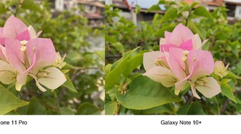 Hasil jepretannya. Foto: Adi Fida Rahman/detikINET