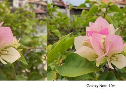 Blind Test iPhone 11 Pro dan Galaxy Note 10+, Suka Mana?