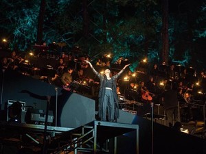 Forestra 2019: Meriahnya Konser di Tengah Hutan Jawa Barat
