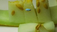 Ketika makan buah melon, orang pasti langsung membuang bijinya. Namun, tidak bagi Hasan yang langsung merubahnya menjadi lukisan seperti bergambar pemandangan laut dan perahu. Foto: Hasan Kale
