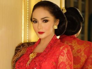 Terpesona Penampilan Krisdayanti di DPR, Ini Kata Sang Diva