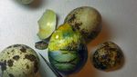 Kulit Kacang Hingga Biji Buah Ini Disulap Jadi Lukisan yang Artistik