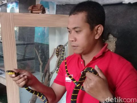 Warga Sidoarjo pelihara hewan reptil/