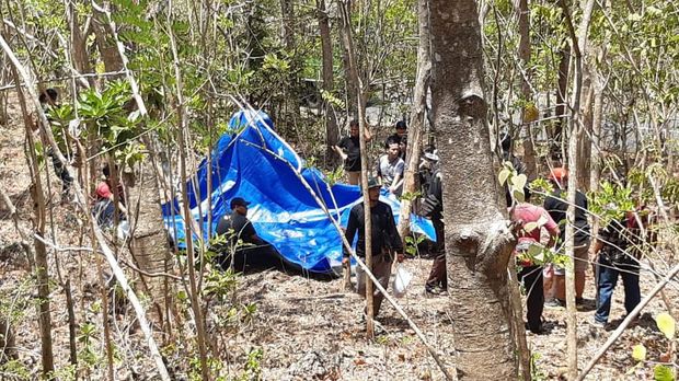Dampak Kemarau di Gunungkidul, Monyet Turun ke Pemukiman Warga Cari Makan