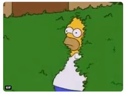 Meme Kocak untuk Madrid yang Gagal Menang Lawan Brugge