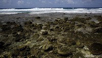 Untuk menjaga pulau gelombang besar, sepanjang pantai dipasang dengan talud atau dinding penahan. Kamu bisa duduk-duduk di atas sini sambil berjemur.
