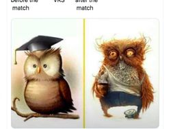 Meme Tottenham Digunduli Bayern Munich, Arsenal Ikut Nimbrung