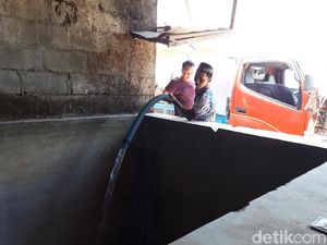 Kemarau Panjang, Warga di Boyolali Jual Sapi untuk Beli Pakan Sapi