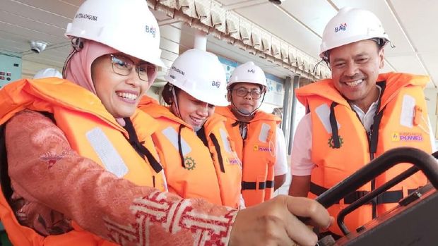 PLN Beli Kapal Bekas Rp 151 M Buat Angkut Batu Bara 