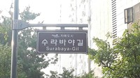 Jika berkunjung ke Kota Busan di Korea Selatan jangan kaget kalau ketemu jalan ini: Surabaya-Gil alias Jalan Surabaya. Ya, kota yang dipimpin oleh Ibu Risma diabadikan jadi nama jalan di Korea. (Hilda/detikcom)