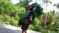 Ketika berjalan mengelilingi pulau, Anda akan sering bertemu dengan penduduk lokal yang sedang beraktivitas.