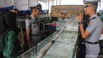 IPB Bakal Gelar Aquafest 2019, Ini Potret Keseruan Kegiatan di 2018