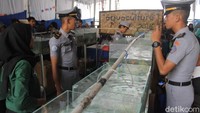 Juga ada kegiatan pameran berbagai ikan hias potensial untuk dibudidayakan dan pameran teknologi hasil inovasi mahasiswa IPB kepada mahasiswa dan mahasiswi Sekolah Tinggi Perikanan Jakarta serta universitas perikanan lainnya. Acuaculture center menjadi wadah hasil inovasi teknologi mahasiswa, dosen maupun start up untuk memperkenalkan praktek sederhana dalam kegiatan akukultur. (Dok Istimewa)