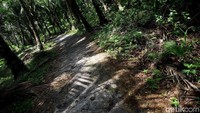 Tak melulu mulus, beberapa jalan membelah kebun kelapa akan dijumpai. 