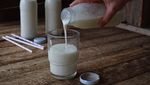 Ternyata 9 Bahan Makanan Ini Bisa Dibekukan Agar Tahan Lama