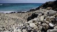 Beberapa bagian pantai tampak dipenuhi potongan karang.