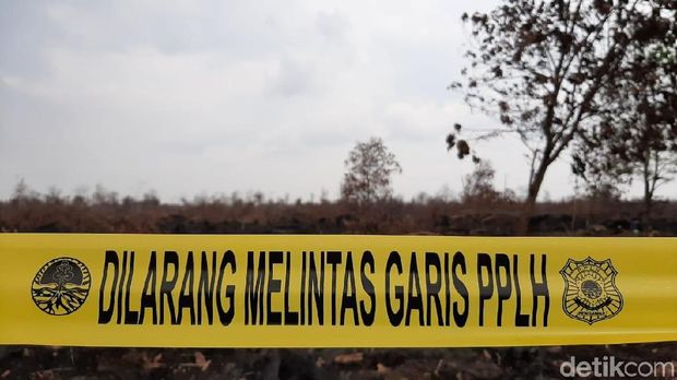 KLHK Segel Perusahaan Tebu di Sumsel Terkait Karhutla