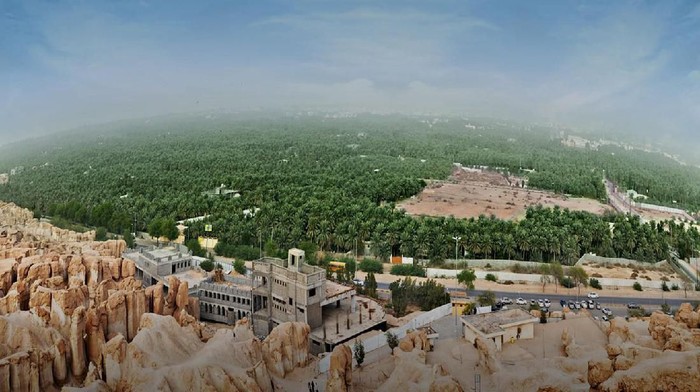 gurun oasis al ahsa