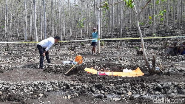 Penemuan kerangka manusia tanpa identitas di Gunungkidul.