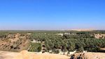 Foto: Oasis Terbesar Dunia di Arab Saudi