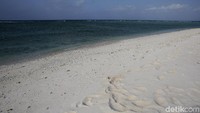 Peraturan adatnya adalah 3 bulan sebelum festival dimulai, warga tidak boleh berada di Pantai Wolo.