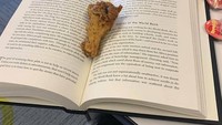 Foto ini adalah iklan untuk Pluckers Wing Bar menyelipkan potongan paha ayam di tengah lembaran buku. Remah dan minyak ayam goreng sudah pasti meninggalkan jejak pada lembaran kertas. Foto: istimewa