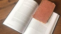 Brand steak beku juga ikut-ikutan menggunakan buku sebagai media iklan. Padahal steak kan lebih menarik kalau di taruk di piring ya? Foto: istimewa