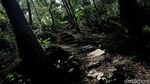 Menelusuri Jalan Terjal Menuju Mercusuar Miangas